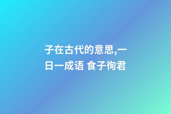 子在古代的意思,一日一成语 食子徇君-第1张-观点-玄机派